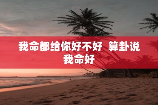 我命都给你好不好  算卦说我命好