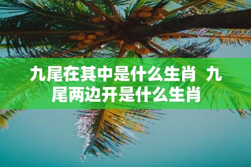 九尾在其中是什么生肖  九尾两边开是什么生肖