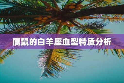 属鼠的白羊座血型特质分析