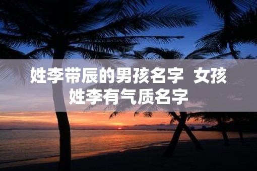 姓李带辰的男孩名字  女孩姓李有气质名字