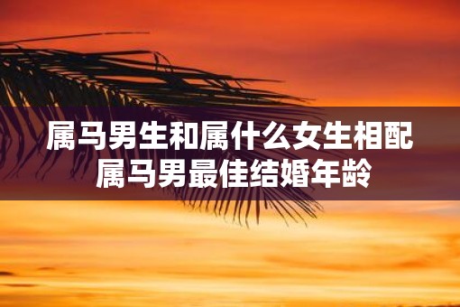 属马男生和属什么女生相配 属马男最佳结婚年龄
