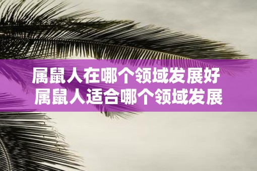 属鼠人在哪个领域发展好 属鼠人适合哪个领域发展