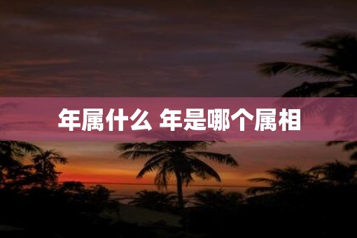 年属什么 年是哪个属相