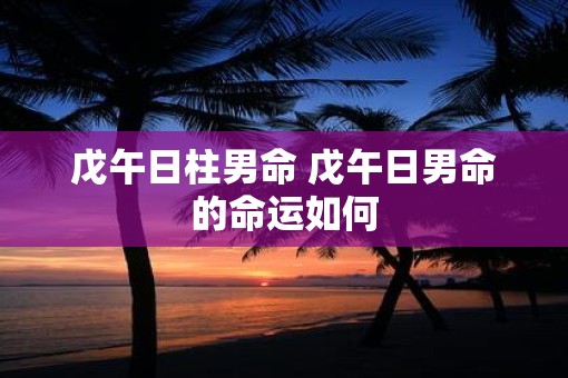 戊午日柱男命 戊午日男命的命运如何