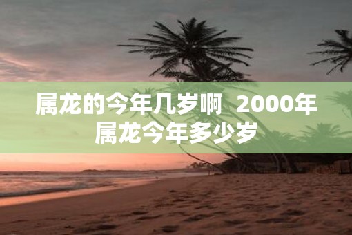 属龙的今年几岁啊  2000年属龙今年多少岁
