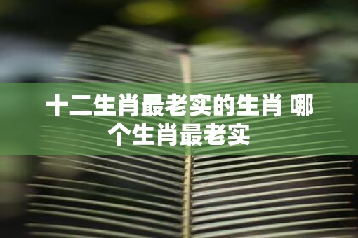 十二生肖最老实的生肖 哪个生肖最老实