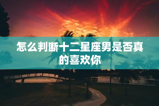 怎么判断十二星座男是否真的喜欢你