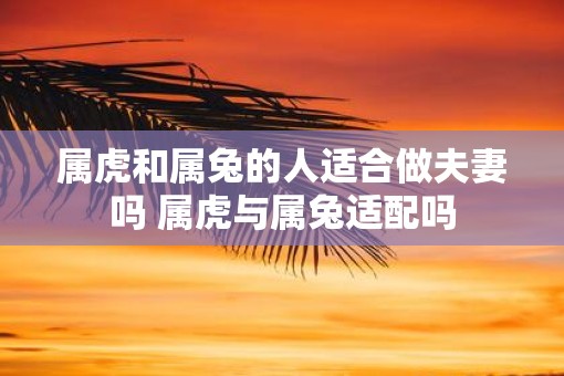 属虎和属兔的人适合做夫妻吗 属虎与属兔适配吗