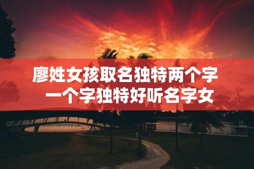 廖姓女孩取名独特两个字  一个字独特好听名字女