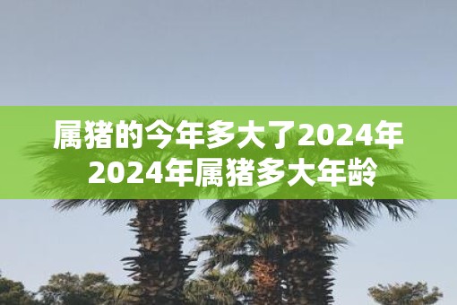 属猪的今年多大了2025年 2025年属猪多大年龄