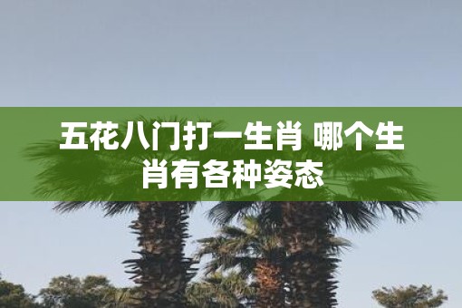 五花八门打一生肖 哪个生肖有各种姿态