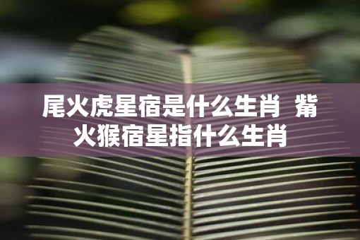 尾火虎星宿是什么生肖  觜火猴宿星指什么生肖
