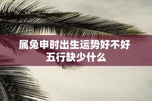 属兔申时出生运势好不好 五行缺少什么