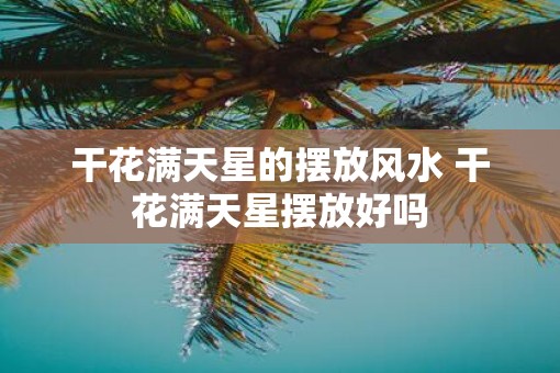 干花满天星的摆放风水 干花满天星摆放好吗