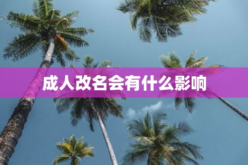 成人改名会有什么影响