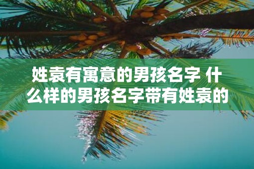 姓袁有寓意的男孩名字 什么样的男孩名字带有姓袁的寓意