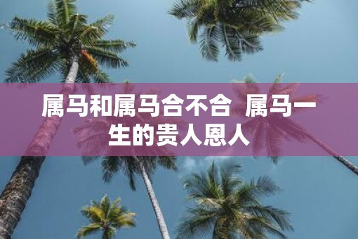 属马和属马合不合  属马一生的贵人恩人