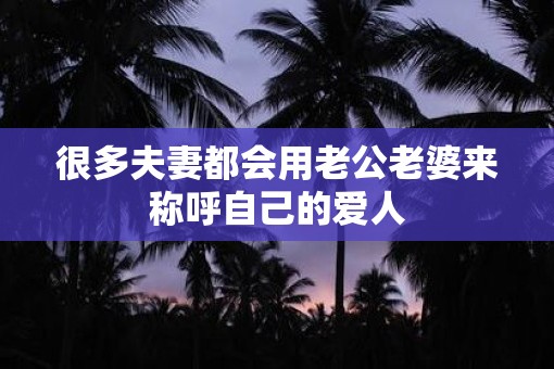 很多夫妻都会用老公老婆来称呼自己的爱人