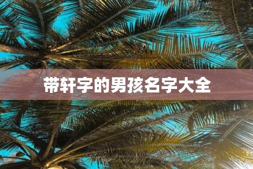 带轩字的男孩名字大全