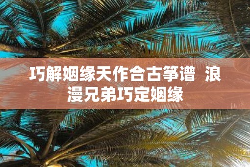 巧解姻缘天作合古筝谱  浪漫兄弟巧定姻缘