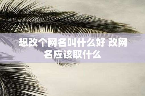 想改个网名叫什么好 改网名应该取什么