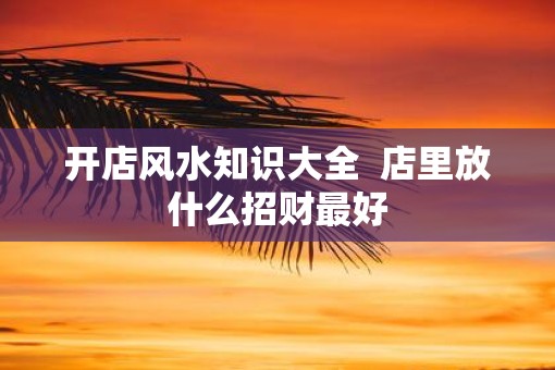 开店风水知识大全  店里放什么招财最好
