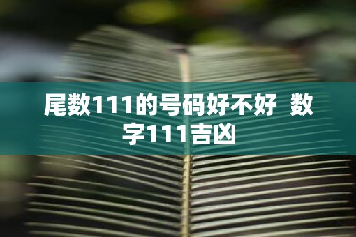 尾数111的号码好不好  数字111吉凶