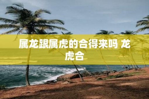 属龙跟属虎的合得来吗 龙虎合