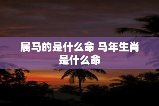 属马的是什么命 马年生肖是什么命