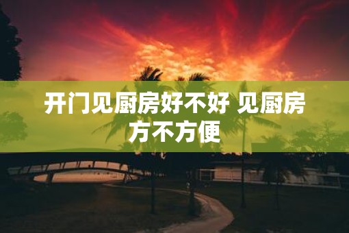 开门见厨房好不好 见厨房方不方便