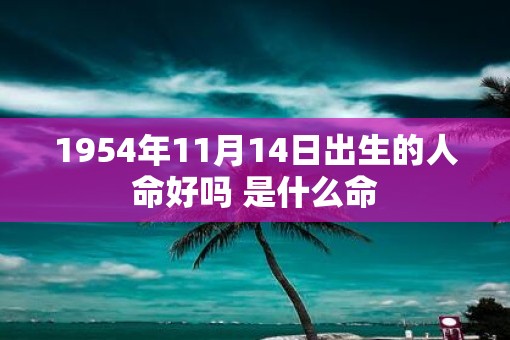 1954年11月14日出生的人命好吗 是什么命