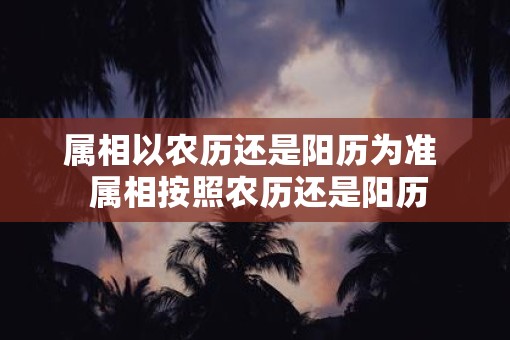 属相以农历还是阳历为准  属相按照农历还是阳历