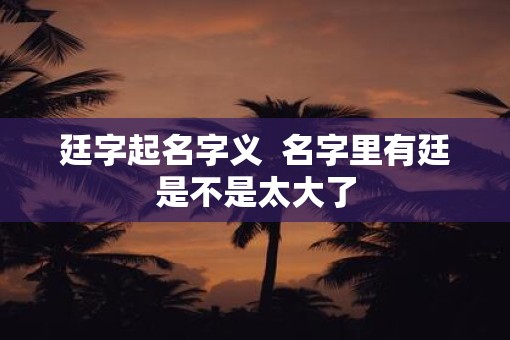 廷字起名字义  名字里有廷是不是太大了