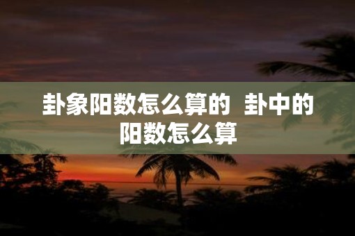 卦象阳数怎么算的  卦中的阳数怎么算