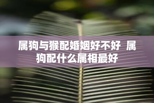 属狗与猴配婚姻好不好  属狗配什么属相最好
