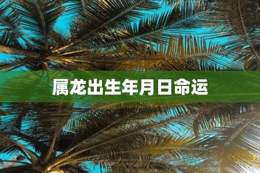 属龙出生年月日命运
