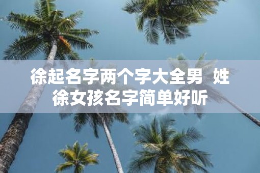 徐起名字两个字大全男  姓徐女孩名字简单好听