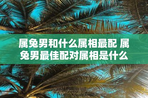属兔男和什么属相最配 属兔男最佳配对属相是什么