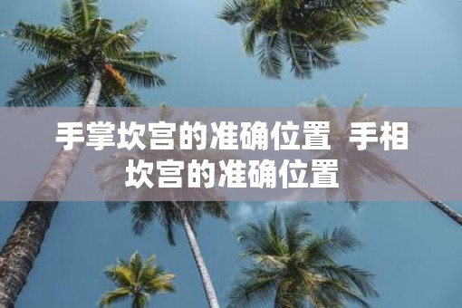 手掌坎宫的准确位置  手相坎宫的准确位置