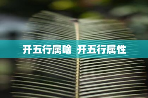 开五行属啥  开五行属性