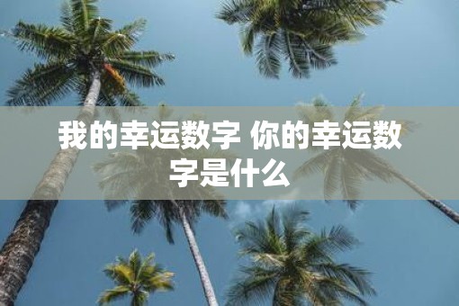 我的幸运数字 你的幸运数字是什么