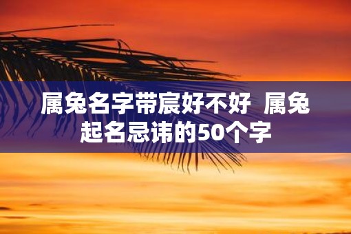 属兔名字带宸好不好  属兔起名忌讳的50个字