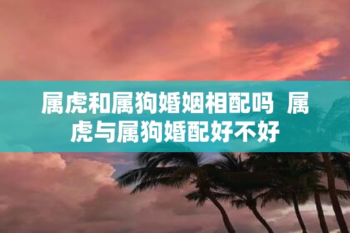 属虎和属狗婚姻相配吗  属虎与属狗婚配好不好