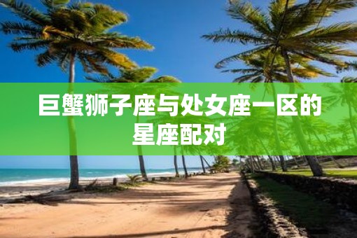 巨蟹狮子座与处女座一区的星座配对