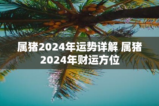 属猪2025年运势详解 属猪2025年财运方位