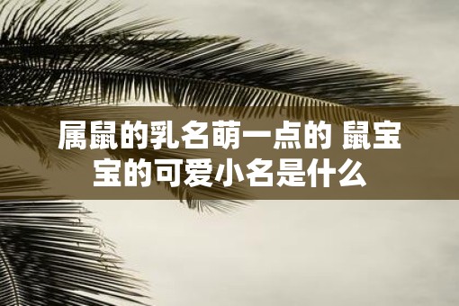 属鼠的乳名萌一点的 鼠宝宝的可爱小名是什么