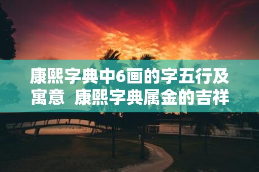 康熙字典中6画的字五行及寓意  康熙字典属金的吉祥字