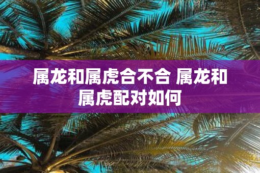 属龙和属虎合不合 属龙和属虎配对如何