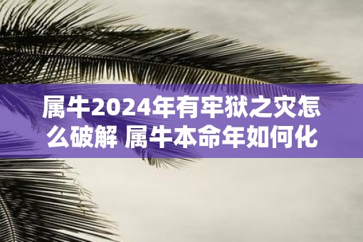 属牛2025年有牢狱之灾怎么破解 属牛本命年如何化解灾难