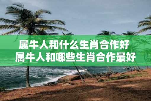 属牛人和什么生肖合作好 属牛人和哪些生肖合作最好
